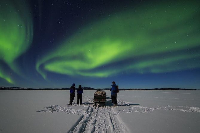 Northern lights tour to Lake Inari from Ivalo, Reindeers & Dinner - A quiet route from Ivalo to Lake Inari