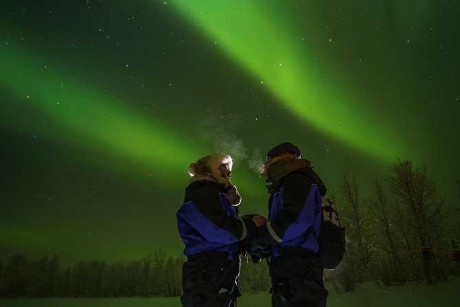 Northern lights tour to Lake Inari from Ivalo, Reindeers & Dinner - Booking details worth getting right