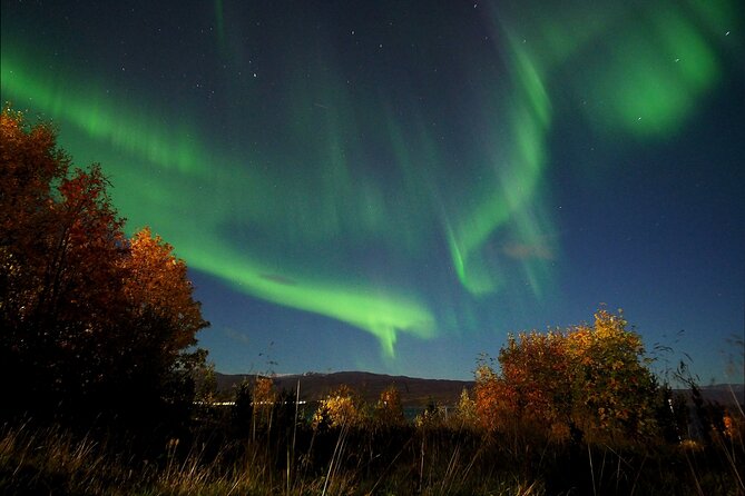 Northern Lights tour with Alta Adventure - Photography help and the chance of a personal keepsake