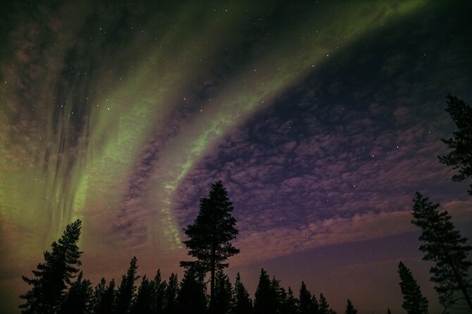 Northern Lights Tour with BBQ and Drinks - Deniz, Alex, and the Photo Help