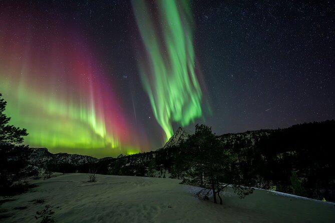 Northern Lights Tours Bodo Norway - What the views and stops are worth