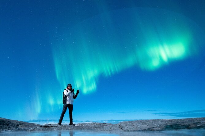 Northern Lights Tours Bodo Norway - Price and value at $223.73