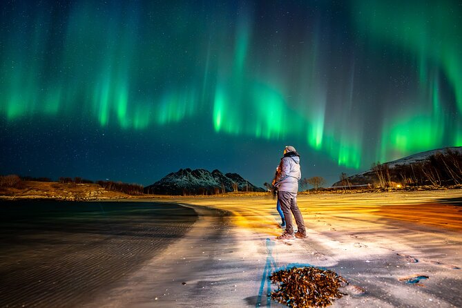 Northern Lights Tours Bodo Norway - Timing, comfort, and what to bring