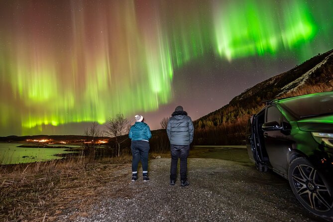 Northern Lights Tours Bodo Norway - Who should book this Bodø tour?