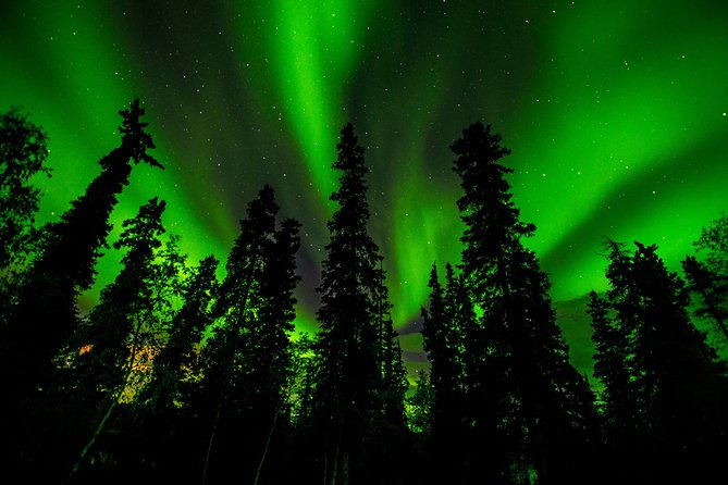 Northern Lights Tours - What the five-hour night looks like