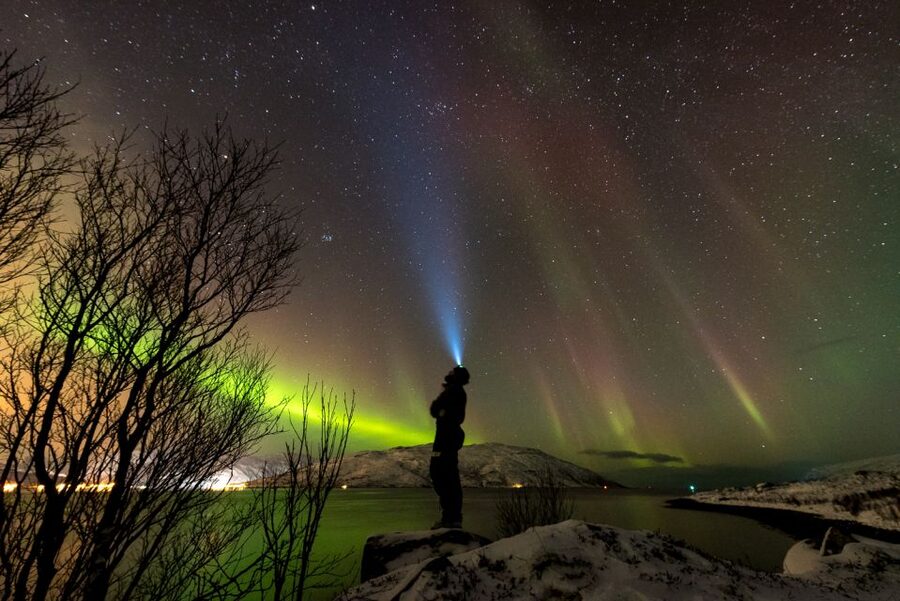 Northern lights Tromsø - small group tour with local guide - Why the chase matters more than the viewpoint