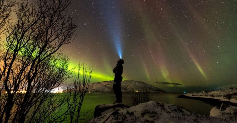Northern lights Tromsø - small group tour with local guide - The included photographs are a real value