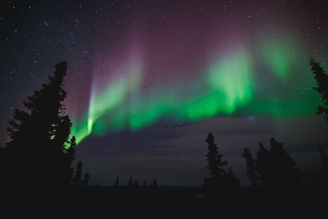 Northern Lights Viewing at Murphy Dome - What the guides add