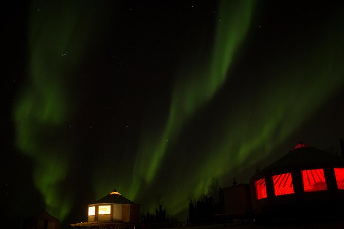Northern Lights Viewing including Dinner and Dog Sledding - One hour on the sled