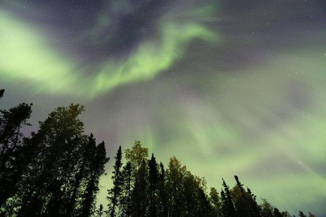 Northern Lights Viewing including Dinner and Dog Sledding - Hotel pickup at 9 p.m.