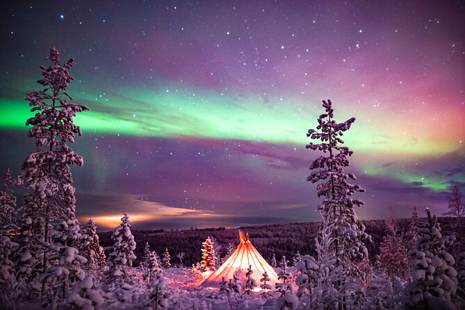 Northern Lights Wilderness Small-Group Tour from Rovaniemi - What the guides add to the evening