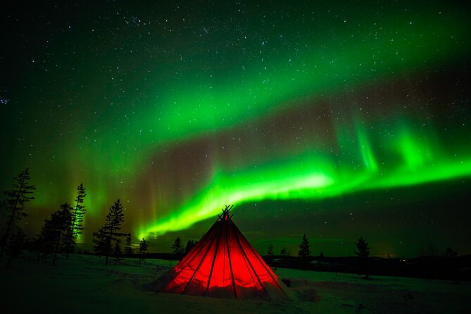 Northern Lights Wilderness Small-Group Tour from Rovaniemi - Professional photos, with one important caution