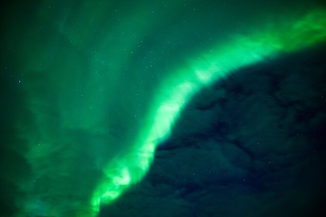Northern Lights Wilderness Small-Group Tour from Rovaniemi - Timing, comfort, and who should book