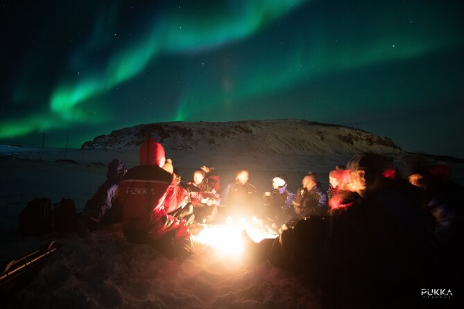 Northern Lights x Mini Bus Chase - Leaving Tromsø at 6 pm for the aurora chase