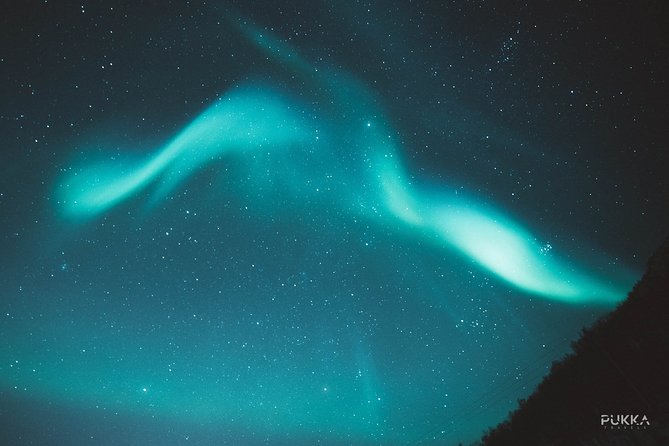Northern Lights x Mini Bus Chase - Who will enjoy this Tromsø night most?