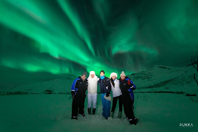 Northern Lights x Mini Bus Chase - How the mobile search works in practice