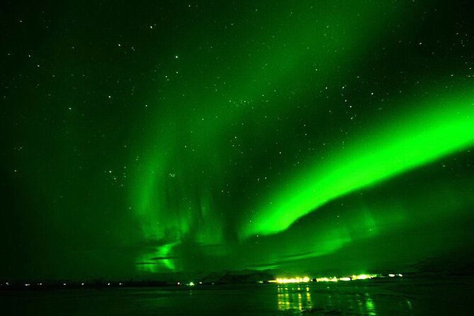 Northern Lights Yacht Cruise in Reykjavik - Wildlife and the Faxaflói Bay route