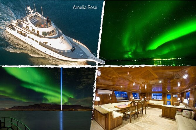Northern Lights Yacht Cruise in Reykjavik - Practical advice for your evening