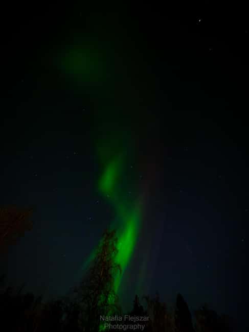 Oulu: Guided Night Walking Tour with Northern Lights Hunting - Who will enjoy this Oulu evening?
