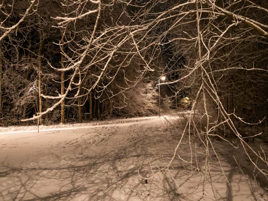 Oulu: Guided Night Walking Tour with Northern Lights Hunting - Practical preparation for the three hours