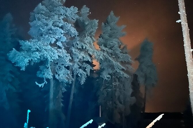 PRIVATE Glass Igloo Dinner Under Northern Lights - Is this private glass igloo dinner worth booking?