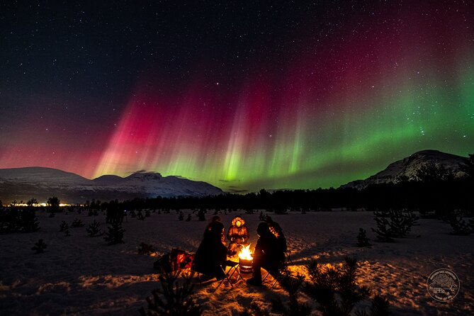 Private Northern Lights Chase with Photography from Tromsø - Pickup, timing, and the evening plan