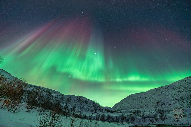 Private Northern Lights Chase with Photography from Tromsø - Who should book this experience?