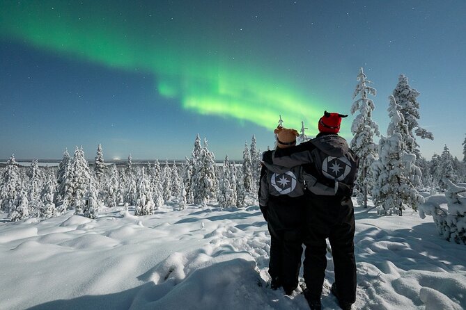 Private Northern Lights photography tour in Rovaniemi - What the private format is worth at $868.91