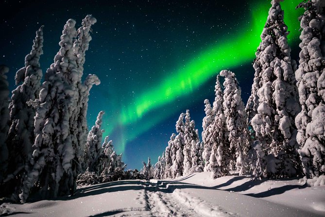 Private Northern Lights photography tour in Rovaniemi - What your photographs may look like