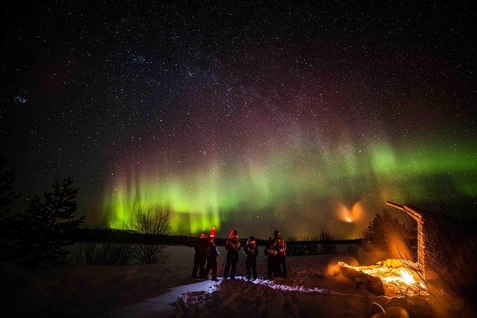 Private Northern Lights photography tour in Rovaniemi - Who will get the most from this tour