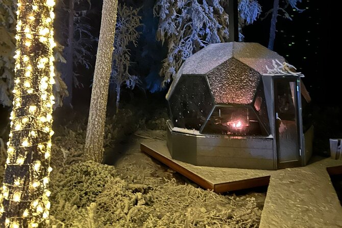 PRIVATE Party dinner in a Glass Igloo Under Northern Lights - How private is private?