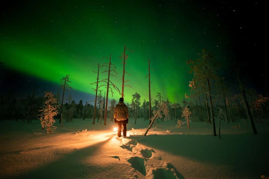 Ranua: Northern Lights tour with Campfire Meal & Pro Camera - Key points to know before booking