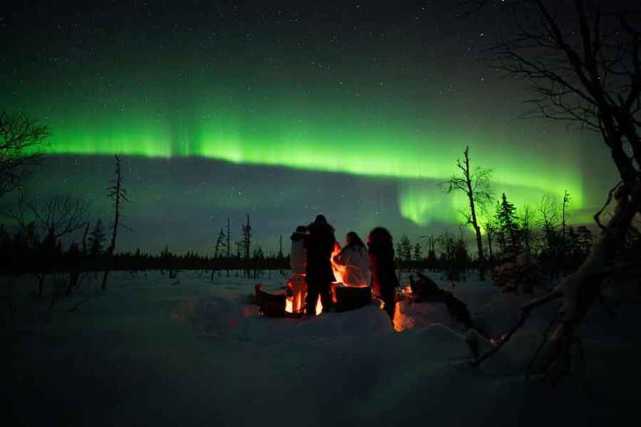 Ranua: Northern Lights tour with Campfire Meal & Pro Camera - Chasing the aurora from Ranua