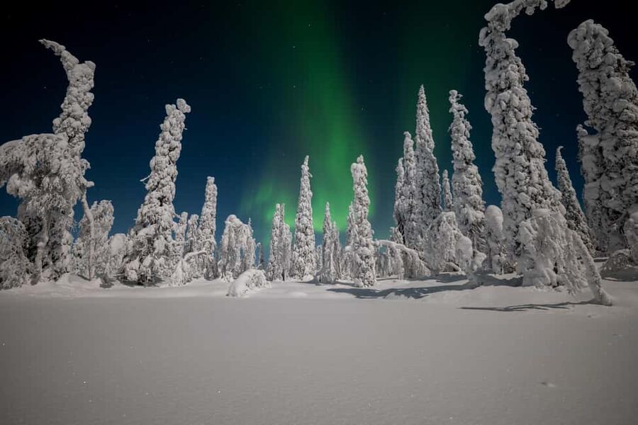 Ranua: Northern Lights tour with Campfire Meal & Pro Camera - Is $317 a fair price?
