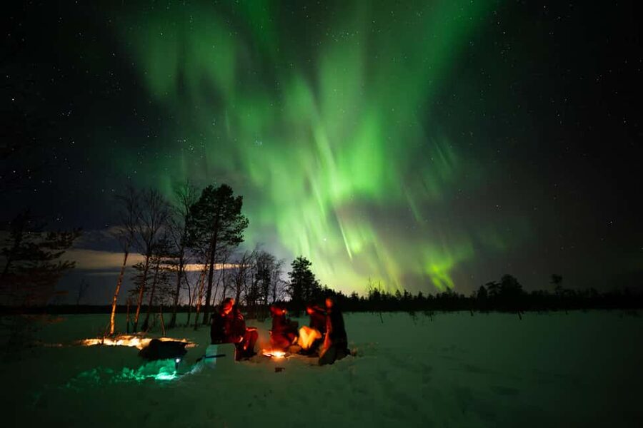 Ranua: Northern Lights tour with Campfire Meal & Pro Camera - Small details that can make the night better