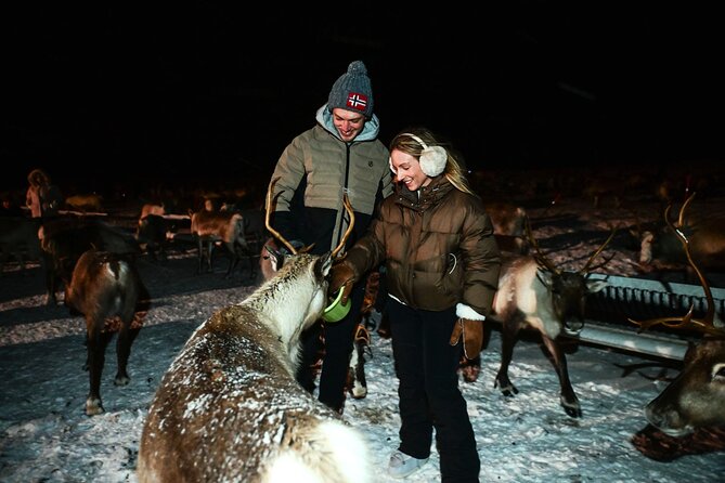 Reindeer Camp Dinner with Chance of Northern Lights in Tromso - What is on the three-course menu