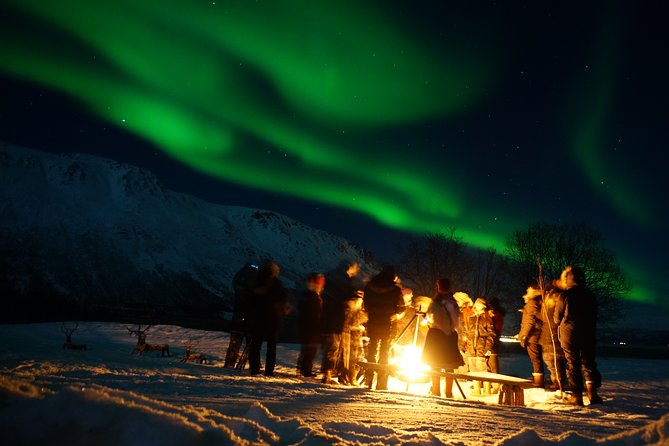 Reindeer feeding & Saami Culture with chance for Northern Lights - Meeting a herd of more than 200 reindeer