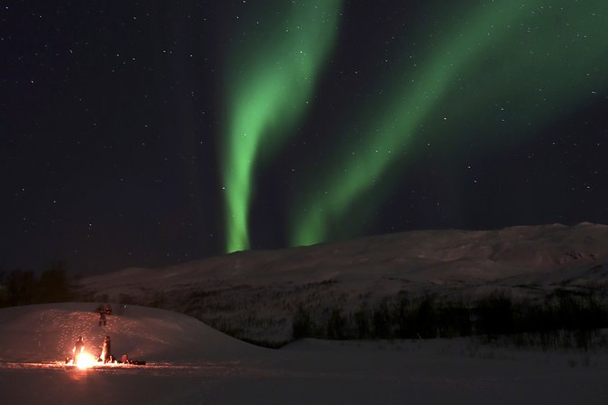 Reindeer feeding & Saami Culture with chance for Northern Lights - Who will enjoy this most