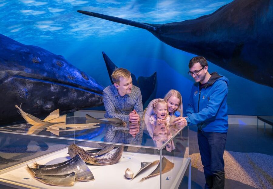 Reykjavik: 2-Hour Northern Lights by Boat with Backup Plan - Small details that improve the night