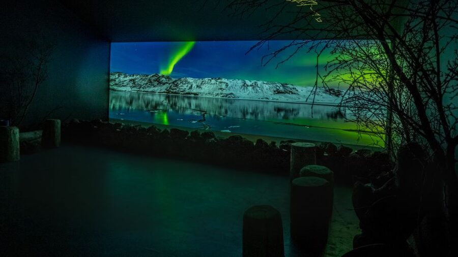 Reykjavik: Aurora Reykjavik The Northern Lights Center Entry - Why Aurora Reykjavík helps before an Aurora hunt