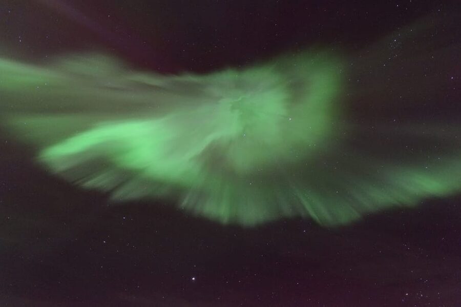 Reykjavík: New Year's Eve Northern Lights Yacht Cruise - Who should book this cruise