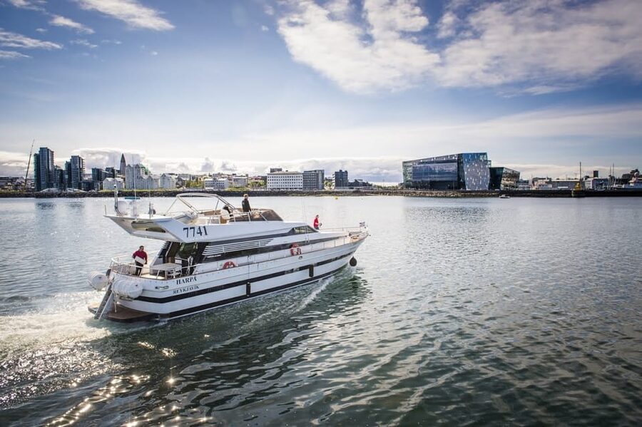 Reykjavík: New Year's Eve Northern Lights Yacht Cruise - The Northern Lights question