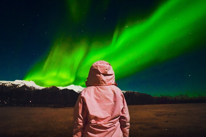 Reykjavik: Northern Lights Comfort Coach with Surprise - The first stop: testing the sky