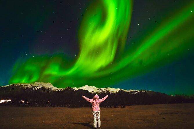 Reykjavik: Northern Lights Comfort Coach with Surprise - The guides make a real difference