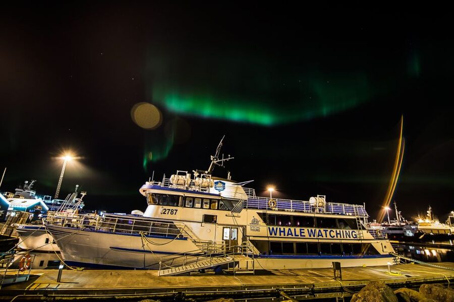 Reykjavik: Northern Lights Guided Boat Tour - The aurora hunt is a patient game