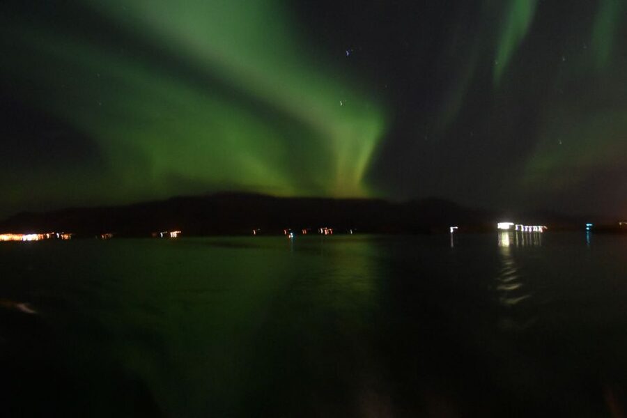 Reykjavik: Northern Lights Guided Boat Tour - What the guide adds to the evening
