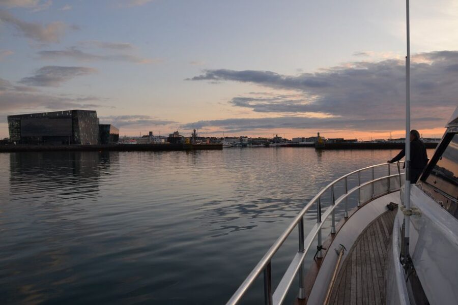 Reykjavik: Northern Lights Motor Yacht Cruise - What the aurora looks like from the deck