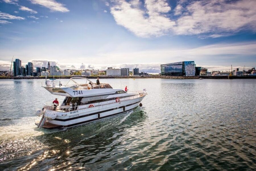 Reykjavik: Northern Lights Motor Yacht Cruise - MY Harpa, MY Amelia Rose, and comfort on board