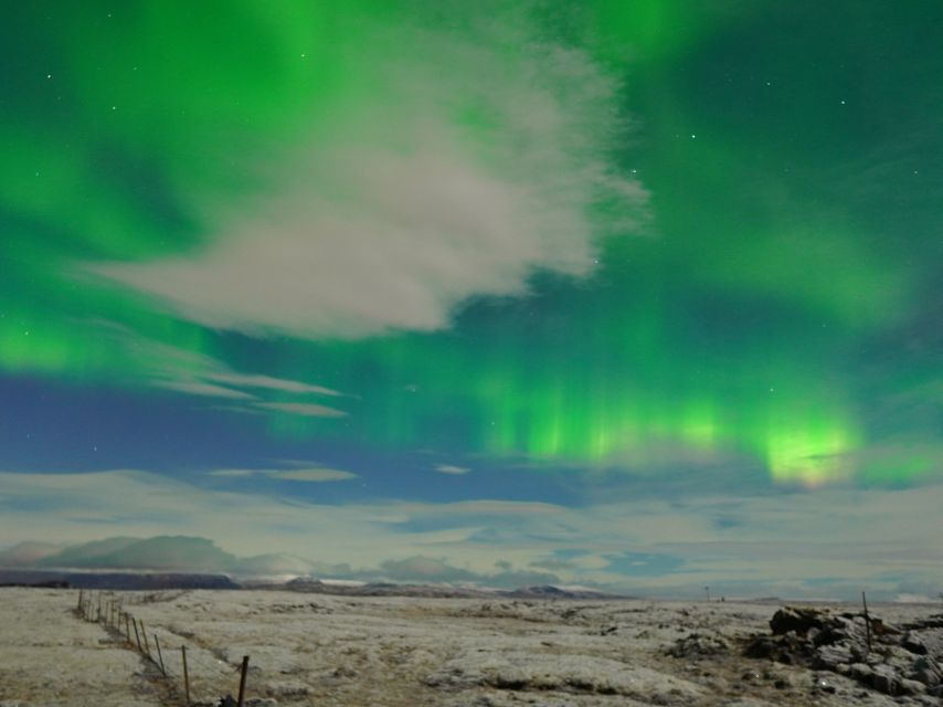 Reykjavik: Northern Lights Tour w/Pro Photos - Small Group - Should you book Aurora Viking?