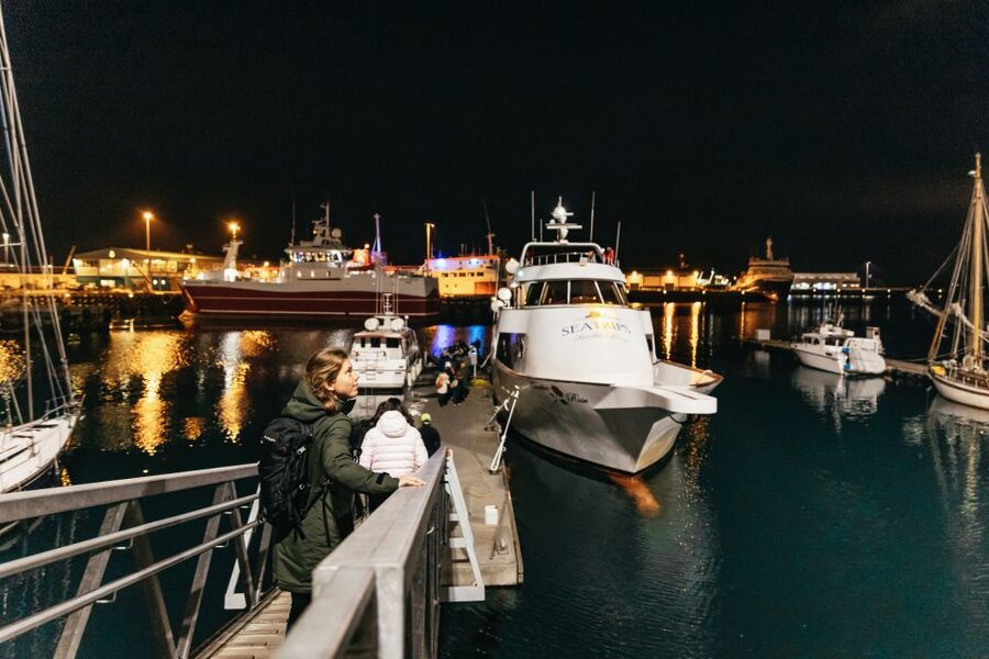 Reykjavik: Northern Lights Yacht Tour - A cozy bar instead of a frozen waiting room